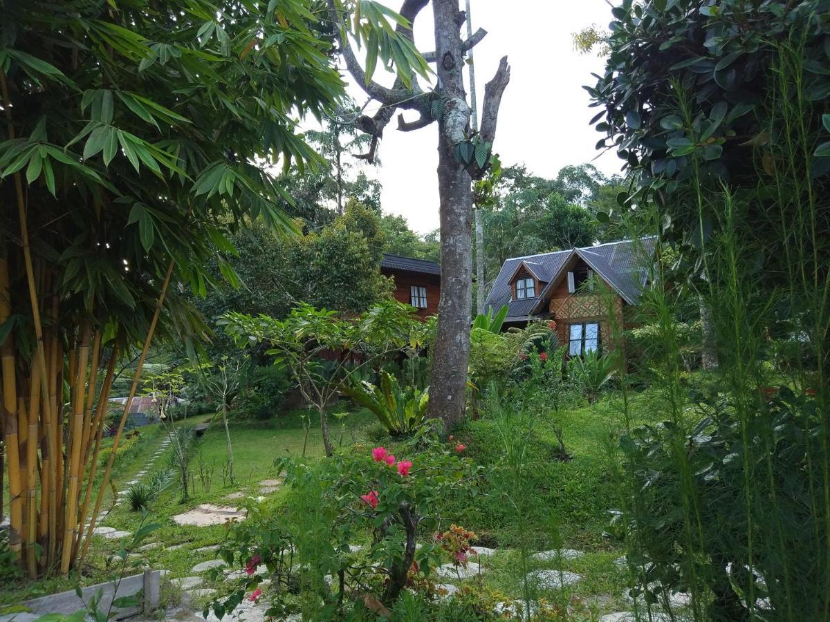 Canyon Jungle Stay Bukittinggi Eksteriør bilde
