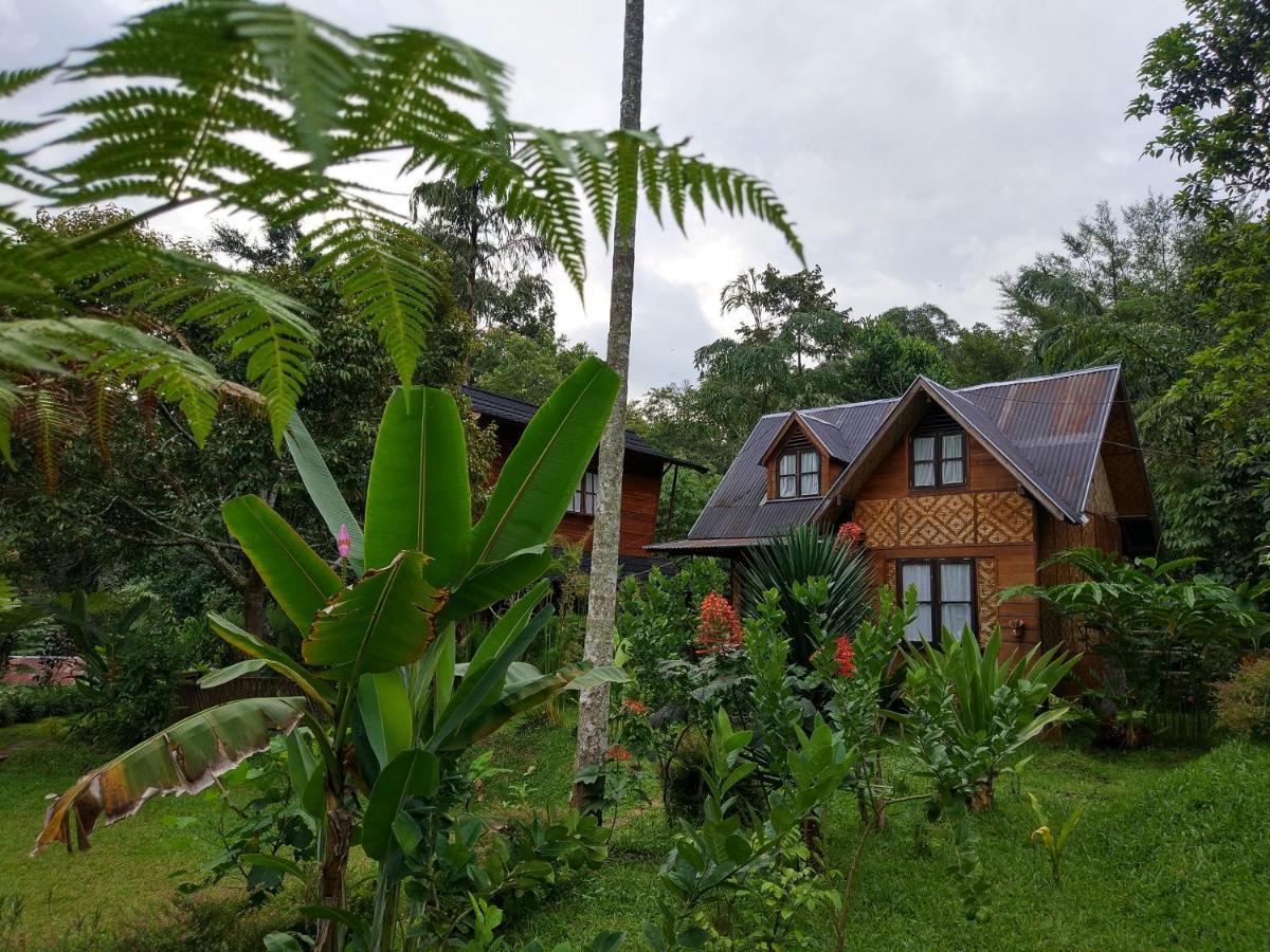 Canyon Jungle Stay Bukittinggi Eksteriør bilde