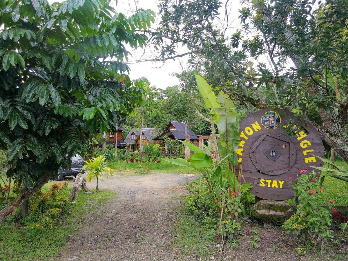 Canyon Jungle Stay Bukittinggi Eksteriør bilde