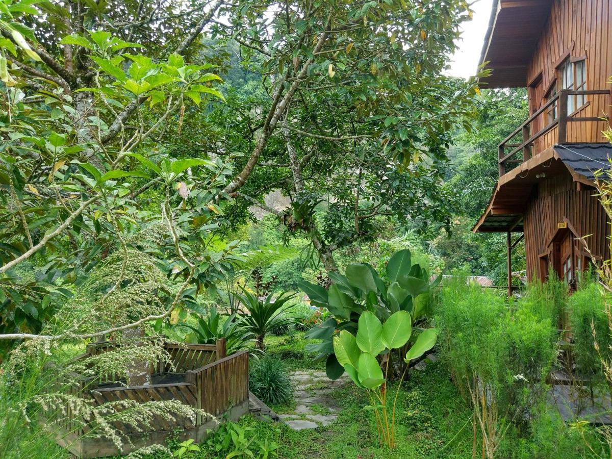 Canyon Jungle Stay Bukittinggi Eksteriør bilde