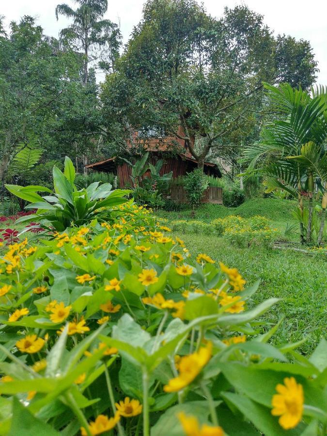 Canyon Jungle Stay Bukittinggi Eksteriør bilde