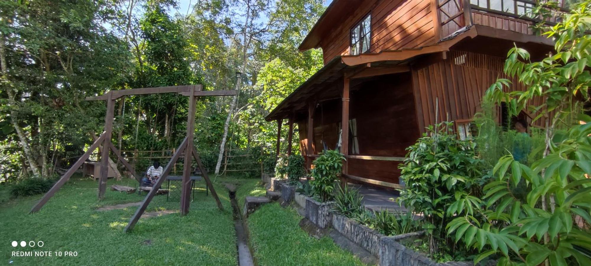 Canyon Jungle Stay Bukittinggi Rom bilde