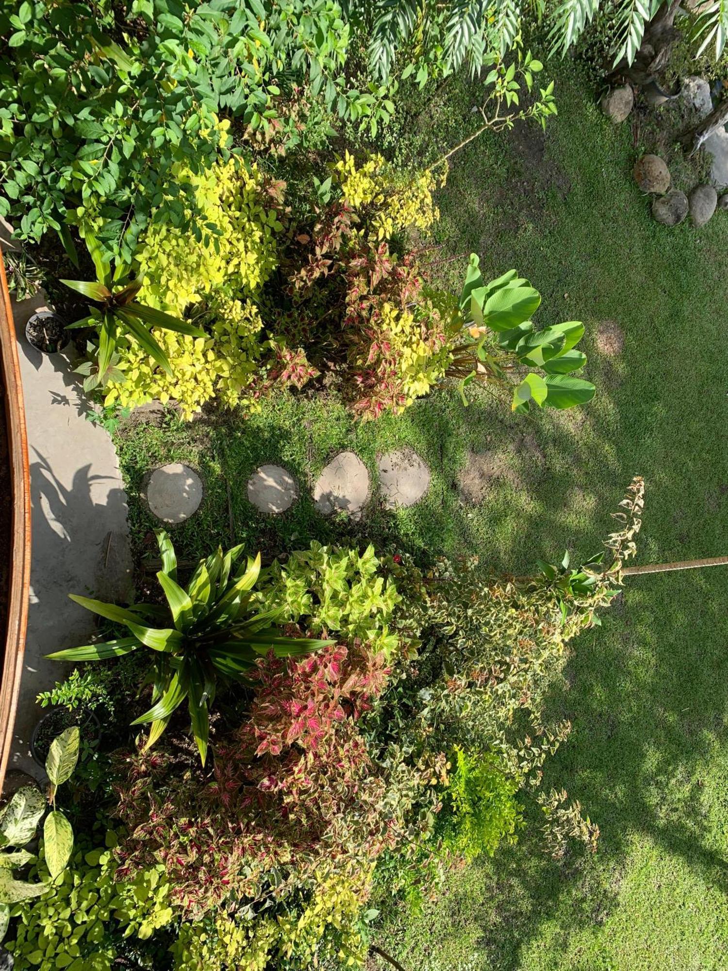 Canyon Jungle Stay Bukittinggi Eksteriør bilde